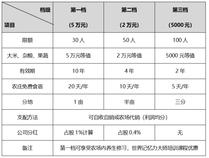 营销策划公司